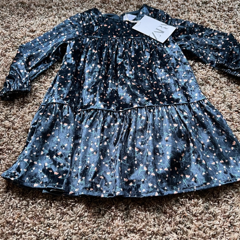 Zara velvet dress